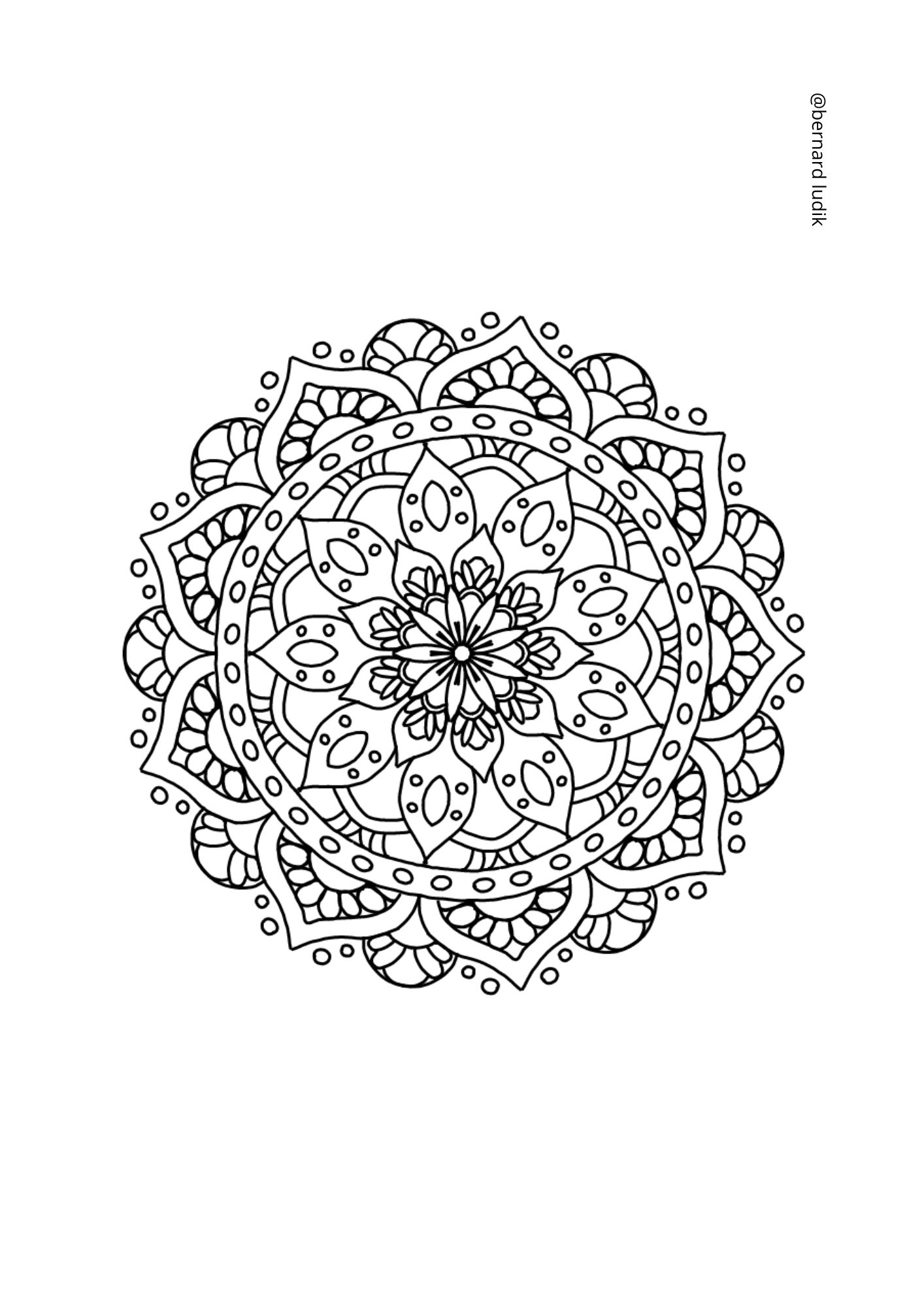 mandala224