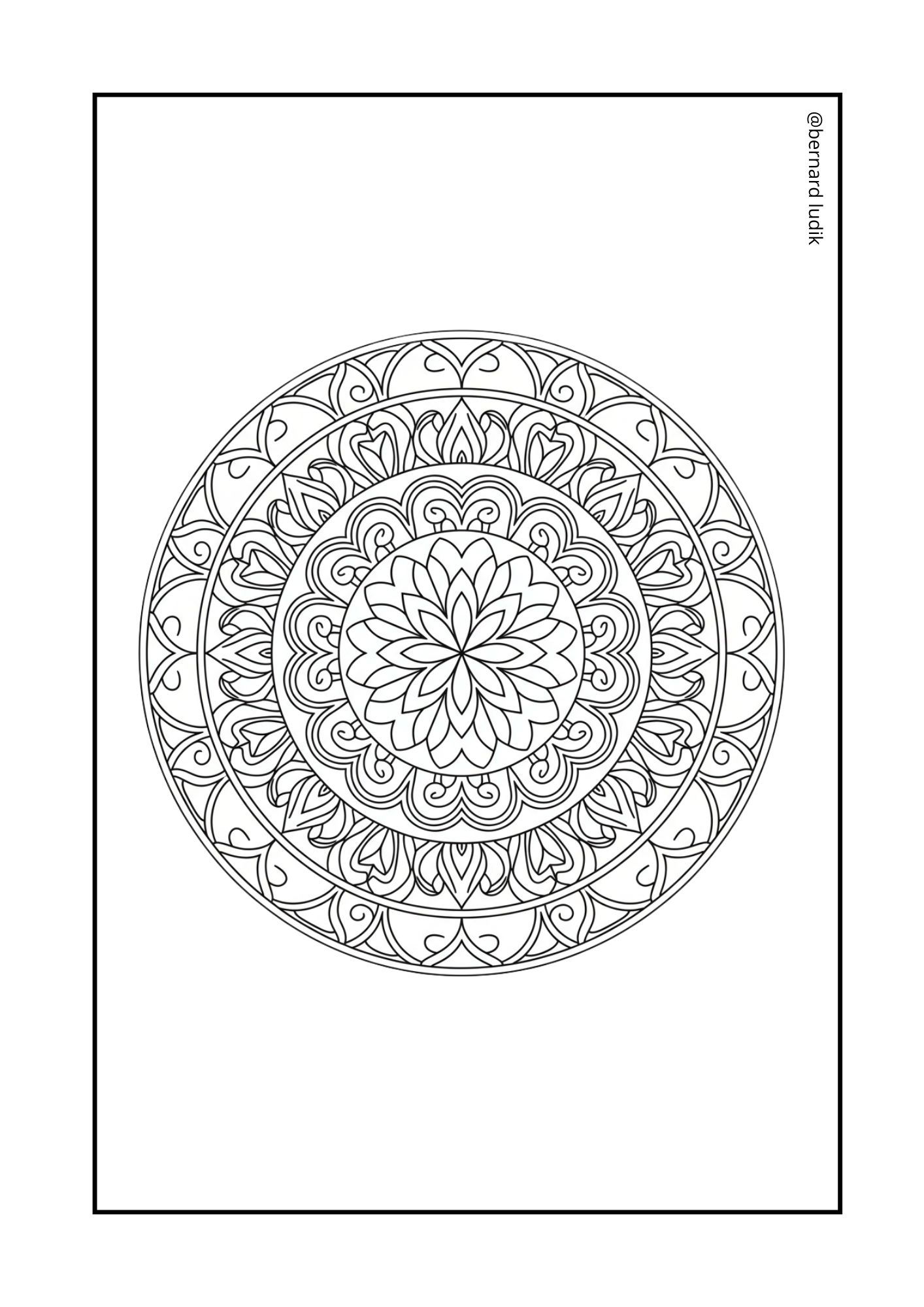 mandala241
