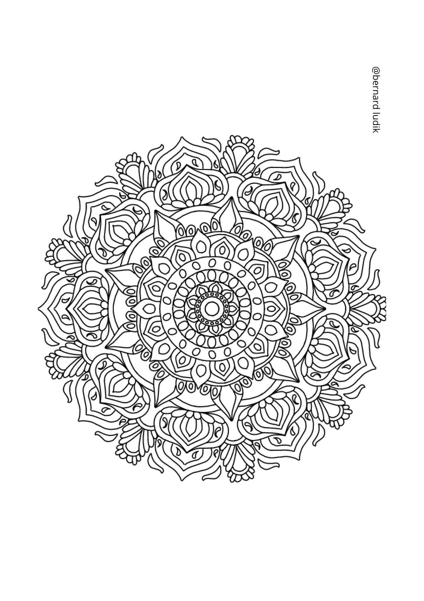 mandala248