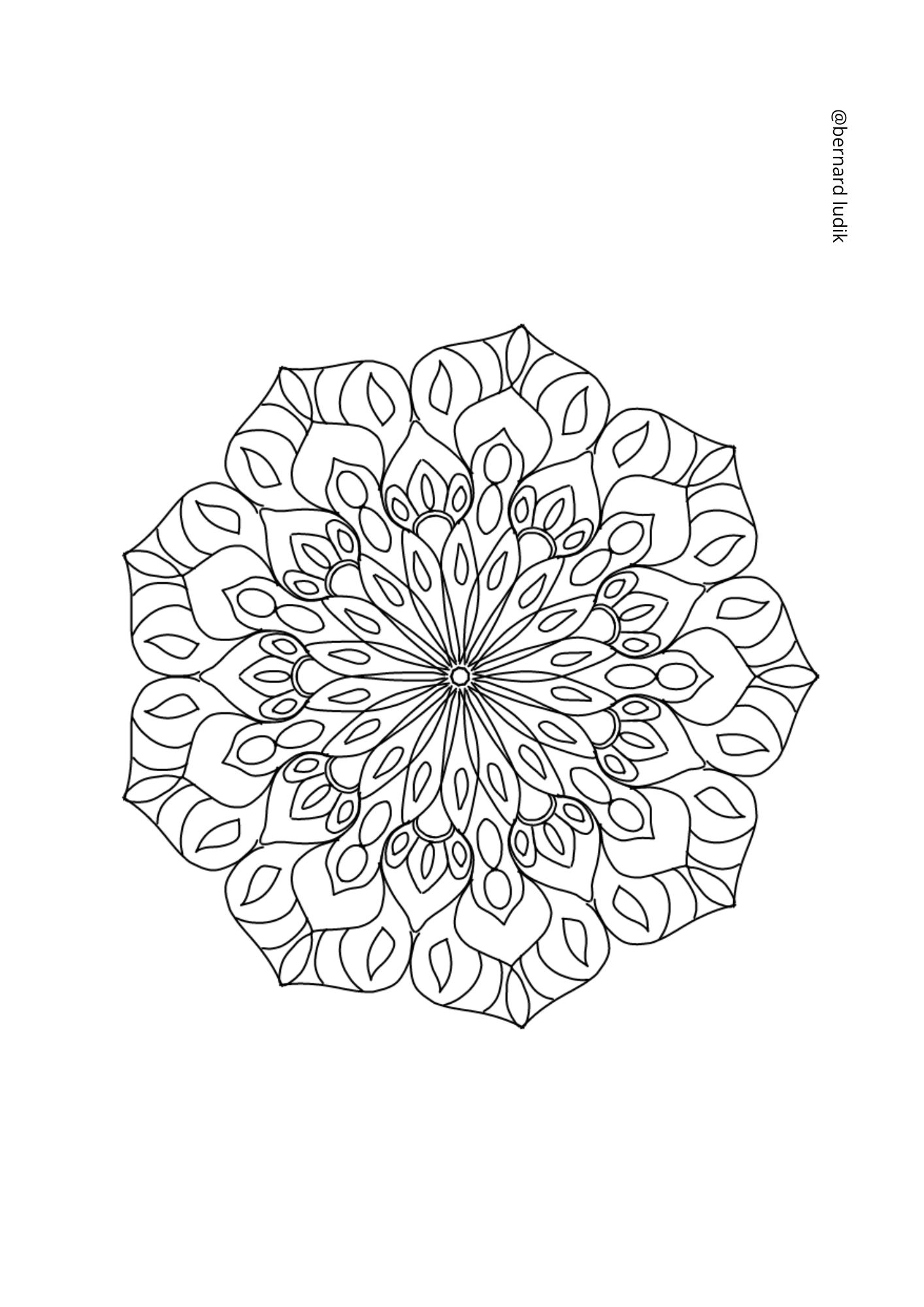 mandala265